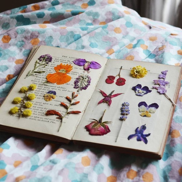 Гербарий в эпоксидной смоле от Miranda Min