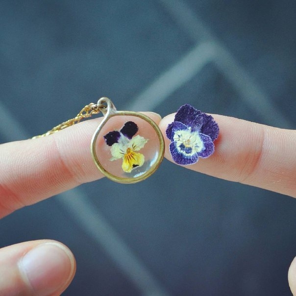 Гербарий в эпоксидной смоле от Miranda Min