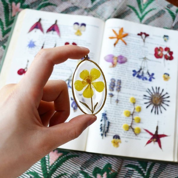 Гербарий в эпоксидной смоле от Miranda Min