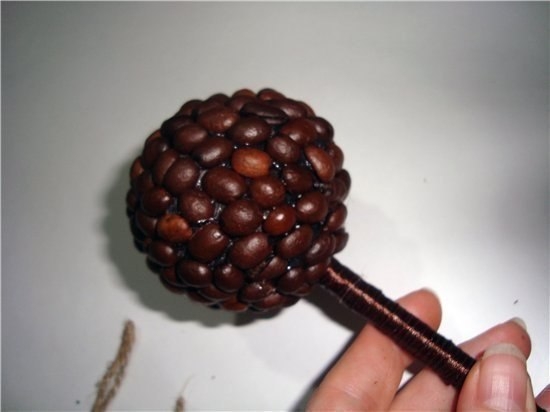 Кофейное дерево