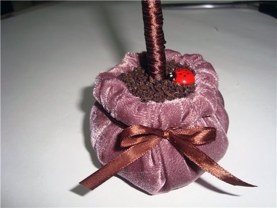 Кофейное дерево